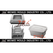 Injection Plastic Storage Case Mould Manufacturer